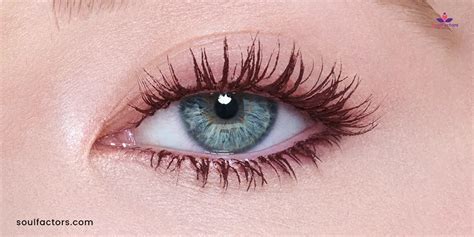 burgundy mascara berry brown.